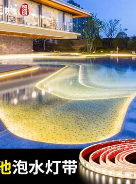 可泡水led灯带户外防水景观超亮灯条泳池露台花园硅胶柔性线性灯