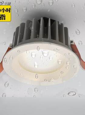 5年质保IP54防水筒灯8寸浴室厨房游泳馆卫生间防雾天花筒灯15W30W