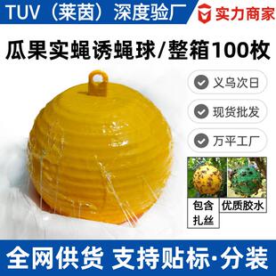 瓜果园诱蝇球粘苍蝇球柑橘大小实蝇诱捕器飞虫食蝇引诱球