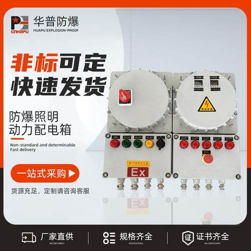 防爆照明动力配电箱 防爆动力配电柜电源插座箱动力电气仪表箱