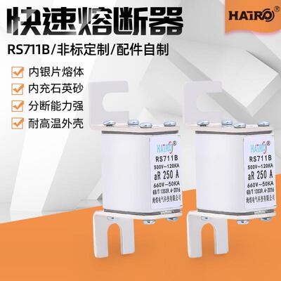 现货小型快速保险丝RS711B 低压螺栓连接熔断器500V-660V250A