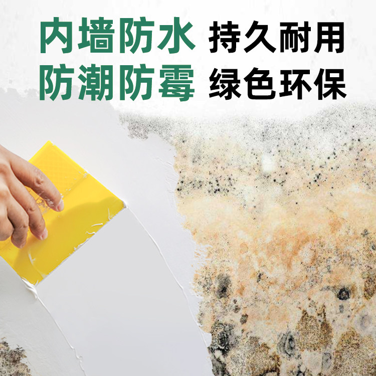 内墙防水防霉涂料背水面地下室防潮材料室内墙面反碱处理渗水修补