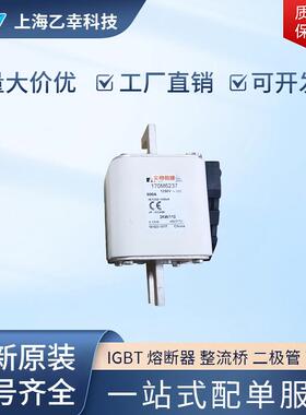 巴斯曼熔断器 170M6239 170M6240 170M6241 170M6242 170M6243