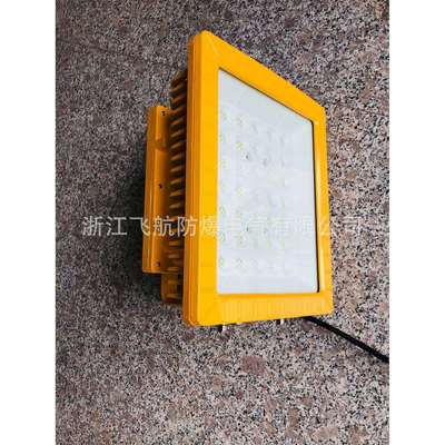 LED防爆灯400W 200W 300WLED防爆投光灯 100WLED防爆灯