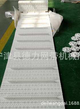 塑料链板传送带 POM抗高温链板线 食品链板PP链板 食品输送链板