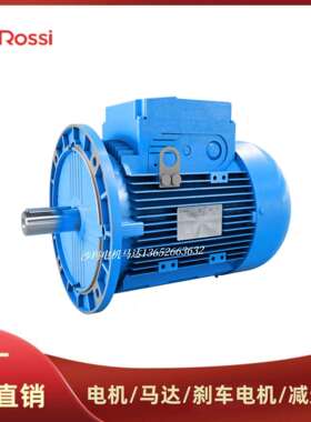 意大利Rossi电机马达HB63A 71B 80A 90S 100LA 112M 132S 160SA