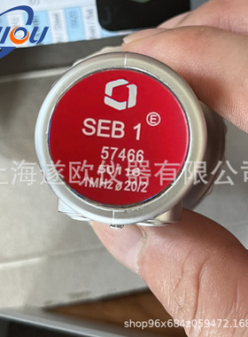 德国KK美国GE贝克休斯SEB1-EN探头 超声波探头