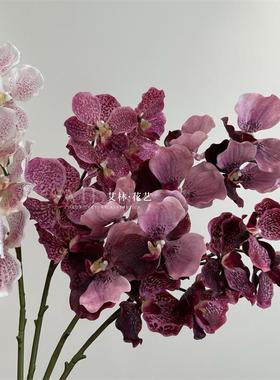 仿真仿真花单枝万代兰手感逼真兰花蝴蝶兰蝴蝶花家居摆放装饰紫色