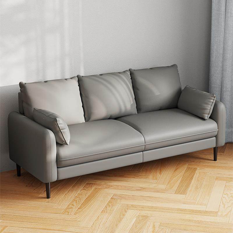 小户型科技布沙发双人小型客厅两米新款三人位出租房用经济型,鲜花速递/花卉仿真/绿植园艺,割草机/草坪机,淘宝优惠券,粉丝福利购,淘宝优惠卷