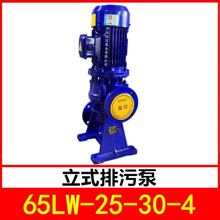 立式排污泵65LW25-30-4管道污水泵