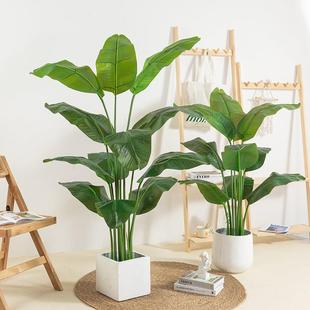 发财树仿真假树仿真绿植天堂鸟旅人蕉室内装饰大摆件假树仿真树