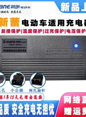 新蕾电动车智能充电器48V12AH60V20AH72V50AH84V96V20A新国标两孔