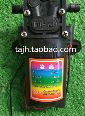 12伏协同凌奥电机泵背式电动喷雾器自吸高压泵马达打药机水泵