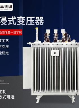 厂家S20-M型6-10kv油浸式变压器800KVA1250KVA10KV电力铜芯