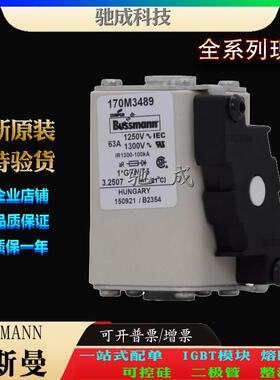 巴斯曼170M3490 170M3491 170M3492 厂家直供零售 紧凑熔断器