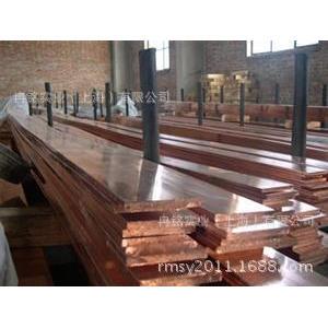 专业销售C18700铜棒 铜排规格齐全 品质保证 价格优