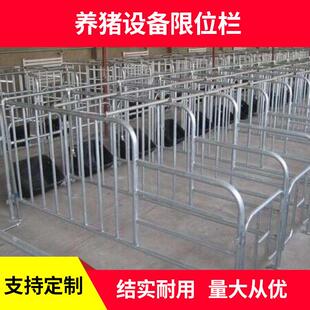 厂家定制加厚猪用定位栏带复合漏粪板猪用限位栏养猪设备