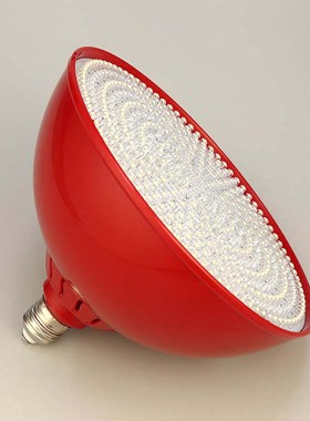 led生鲜猪肉灯卤菜卤肉熟食灯水果蔬菜店专用灯海鲜红色卖肉档灯