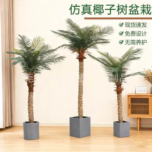 大型椰子树仿真植物仿真棕榈树热带绿植室内家居落地装饰落地盆栽