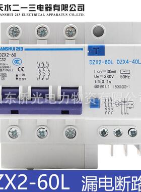天水漏电保护器断路器DZX2L-60 DZX2-40L 60L 2P15A32A60A开关