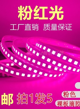 led灯带条12v粉红光背胶自粘套管防水玫红紫色超高亮装饰浪漫KTV