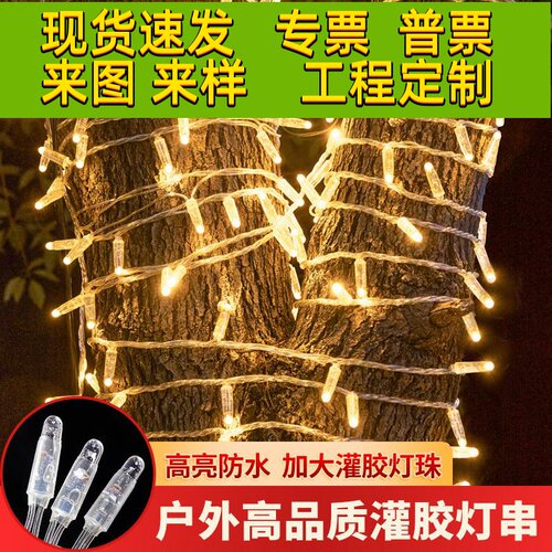 LED灌胶灯串超亮加粗高满天星节日防水户外街道缠树亮化装饰灯串