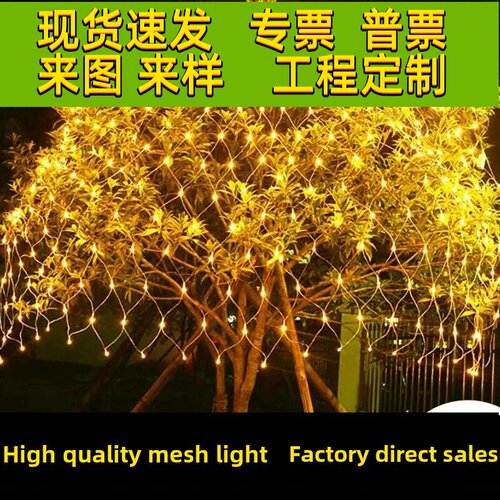 LED网灯彩灯闪灯串灯户外防水网格状满天星草坪装饰灯低压渔网灯