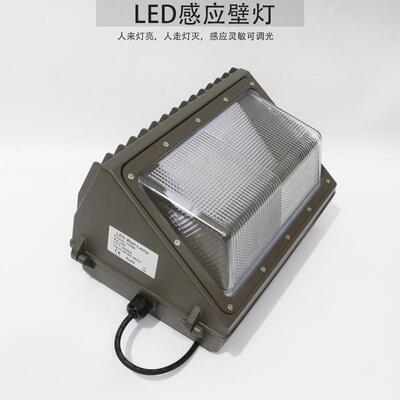 车库LED灯人体感应30W40W50W60W壁灯雷达感应微亮调光灯具