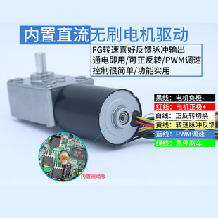 5840 3650蜗轮蜗杆无刷直流减速电机可调速微型大扭力12V24v马达