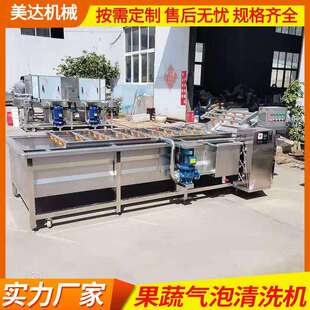 果蔬气泡清洗机菠菜白菜人参三七喷淋清洗设备去泥杂质酱菜脱盐机