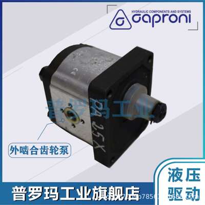 卡普罗尼Caproni齿轮泵20A(C)4.5/8.2/11.3/15/19/25Y006 液压泵