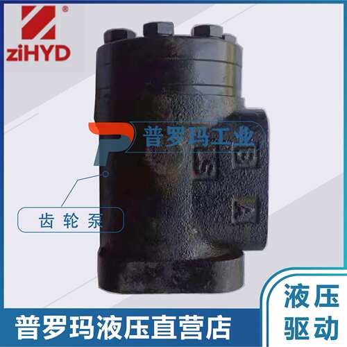 ZIHYD宁波中意液压马达 BHR1-100-Y50-P/C