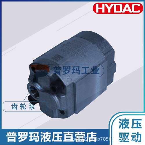 贺德克HYDAC高压齿轮泵10A3.75 4.2 5 6.1 2.5X302 348 303 330B