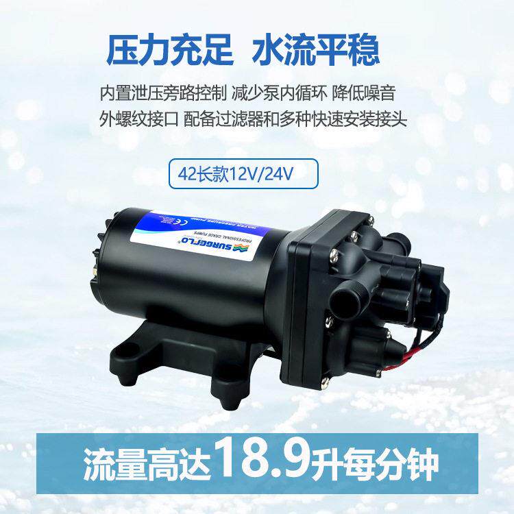 F42款12V24V农用电动隔膜泵房车家用水泵压小型抽水泵冲洗泵