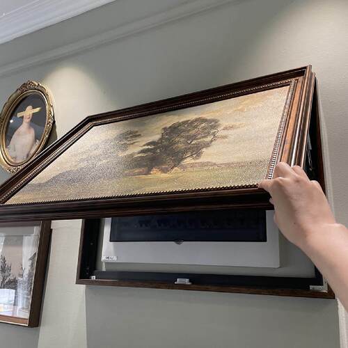 客厅餐厅玄关遮挡配电柜隐形装饰画美式静物推拉横版电表箱导轨画