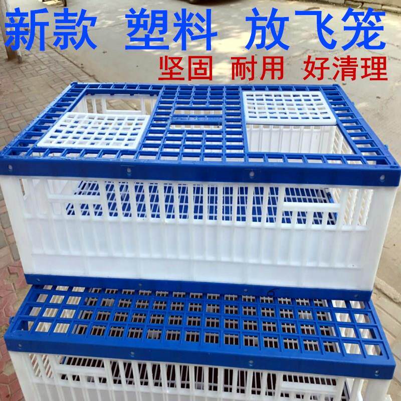 塑料笼子鸽具/放飞笼/训放笼/报道笼/信鸽