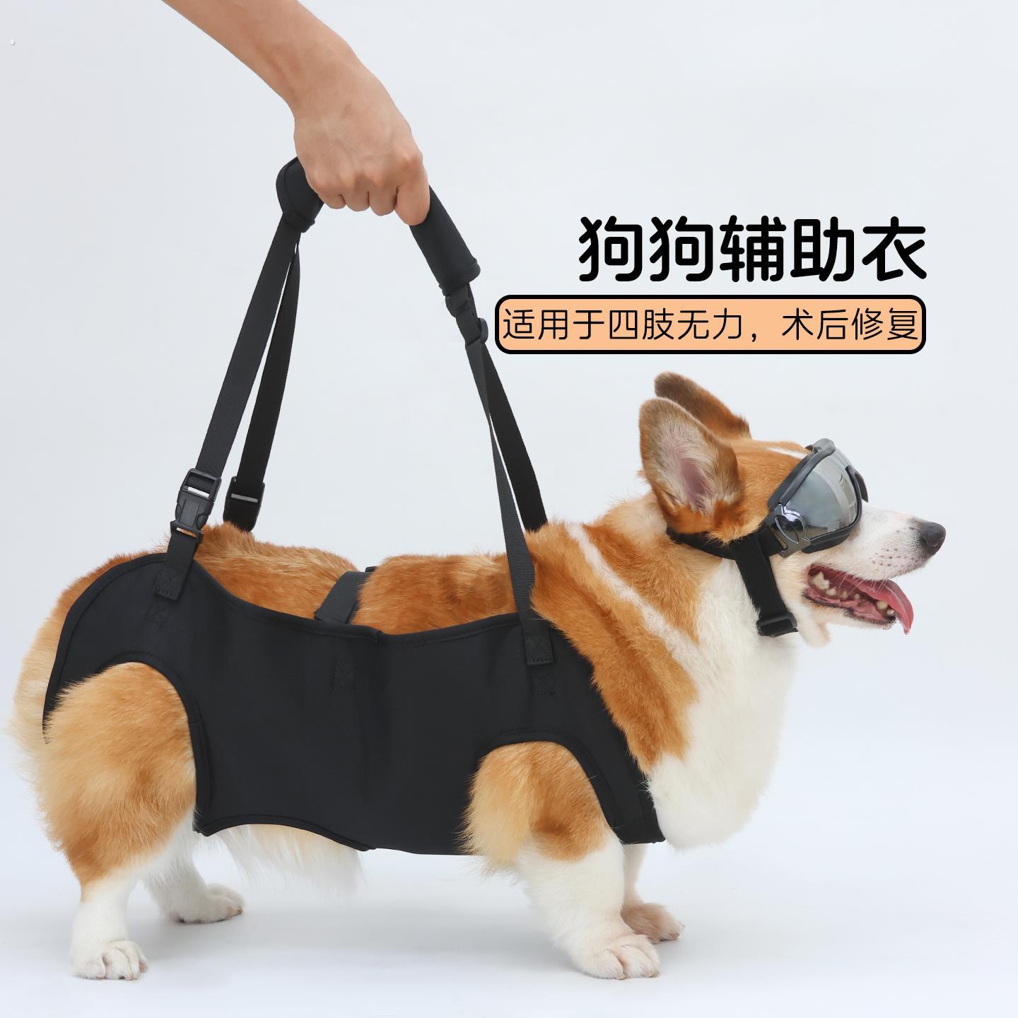 宠物狗狗腿无力辅助带老年犬瘫痪行走器康覆训练上下楼神器柯基犬