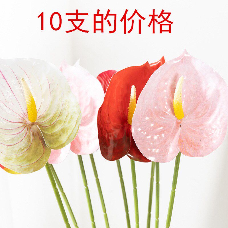 仿真掌红掌 白掌 绿掌 粉掌 花蚀拍摄道具家居店铺陈列饰品餐桌花