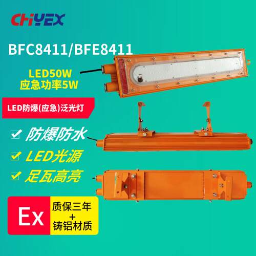 BFC8411 LED防爆泛光灯吊杆式 BFE8411 LED防爆应急泛光灯吸顶式
