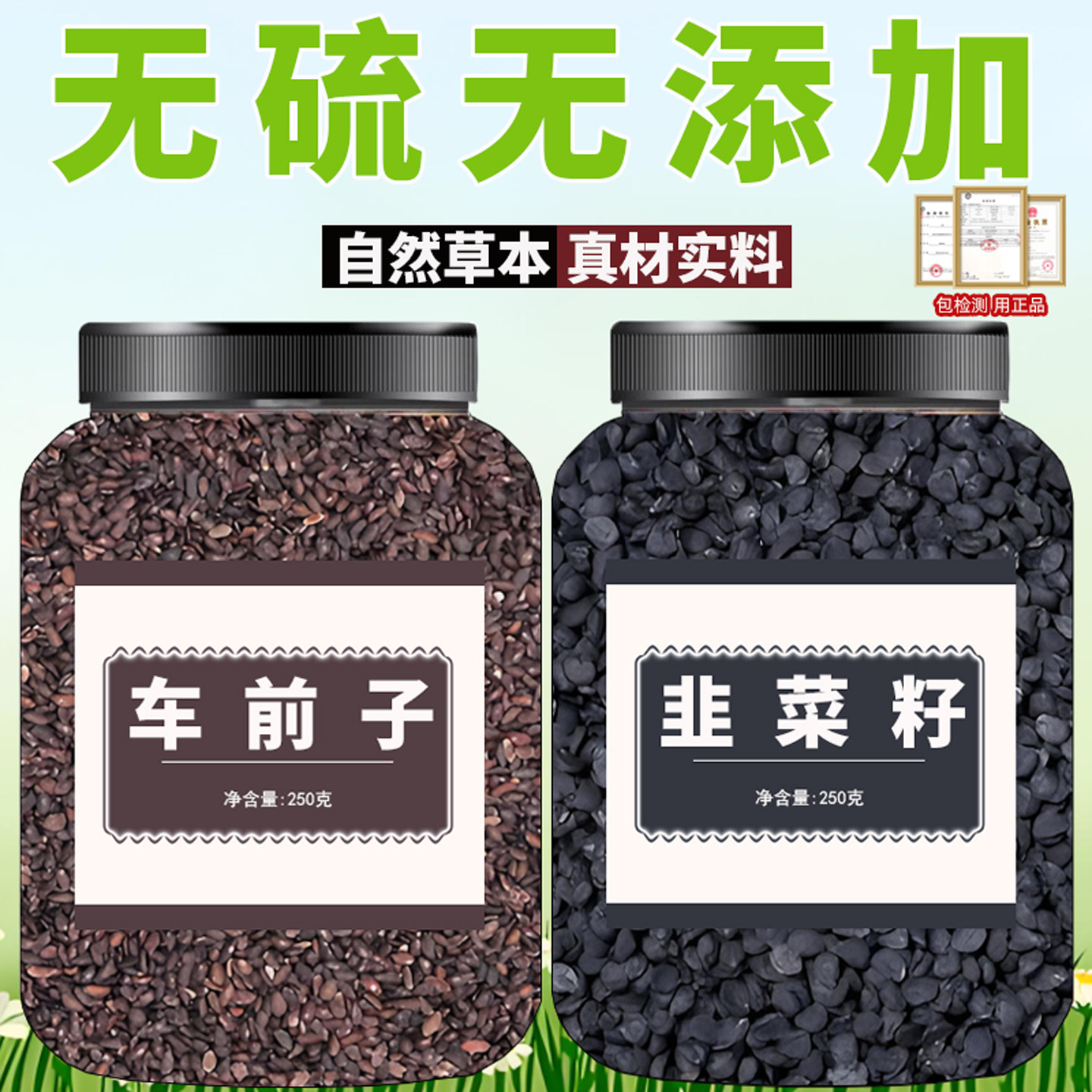 车前子韭菜籽中药材泡茶煮水的功效与作用真材实料原材料干货滋补
