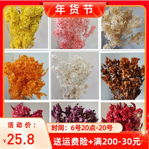 永生花迎客豆蝴蝶花装饰干花家居店铺民宿软装插花配花喜庆年花