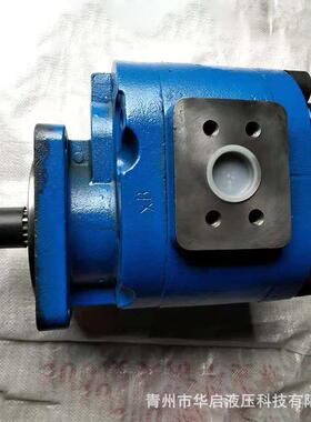 现货供应P7600-f160震动马达厂家直供电动齿轮泵徐工装载机转向泵