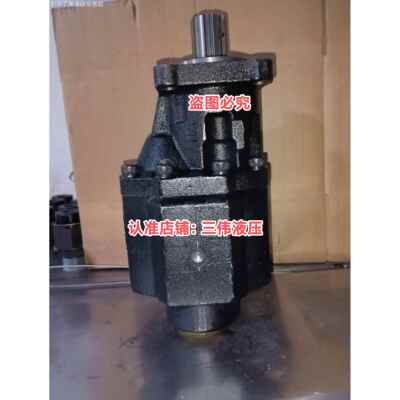 自卸车液压齿轮泵8齿外贸出口双旋两用CB100液压油泵海沃齿轮泵