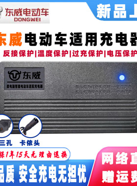 东威电动车充电器48V12AH60V20AH72V32AH45AH84V96伏50铅酸蓄电池