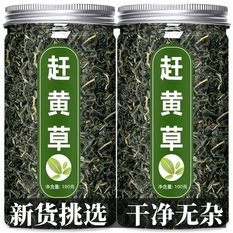 新品赶黄草新货2025嫩芽嫩叶四川赶黄草泡水喝的新鲜赶黄草瓶装