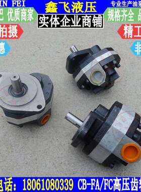 CB-FC10 FC16 FC20 FC25 FC31.5 FC32 FC40高压齿轮油泵FL液压泵