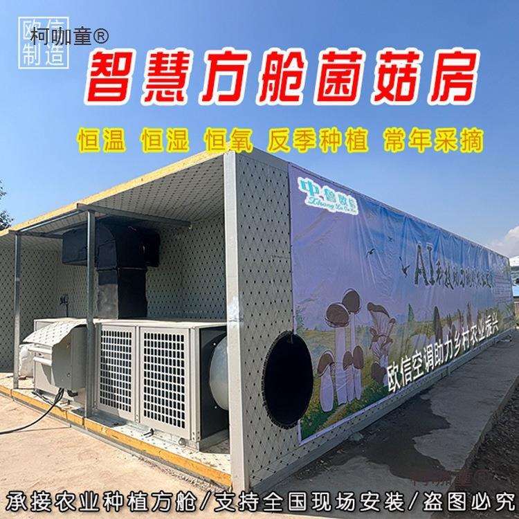 智能化控制食用菌种植云舱智慧方舱蘑菇房温室大棚菌菇养殖麦太保