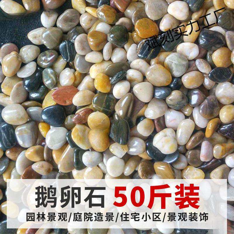 花盆里的鹅卵石阳台地面装饰个性花园鹅卵石鱼缸景观户外院子石头
