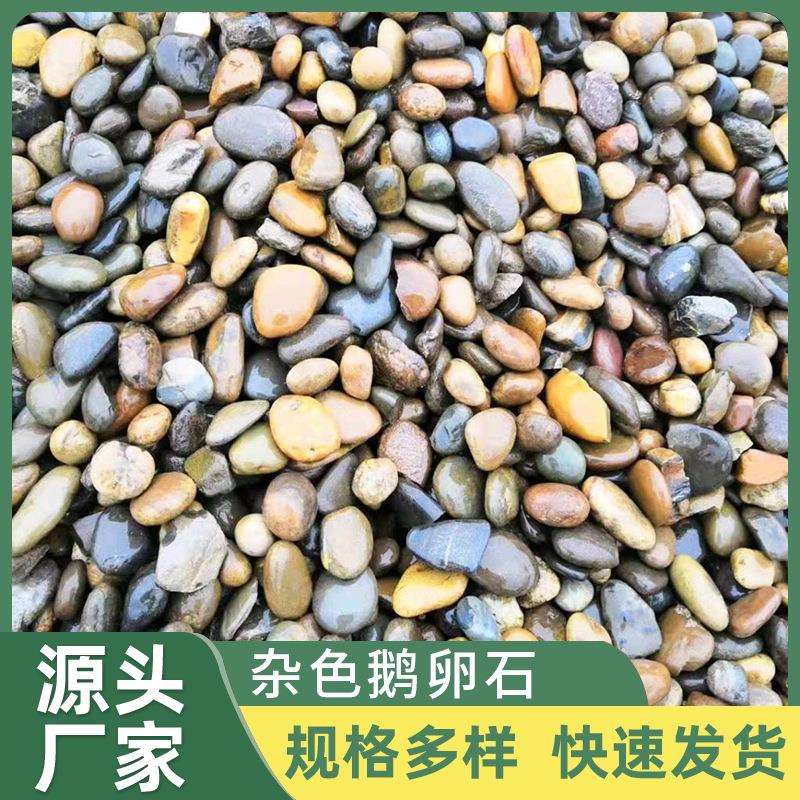 园林造景工程杂色鹅卵石 铺路抛光雨花石 鱼缸装饰多彩石头