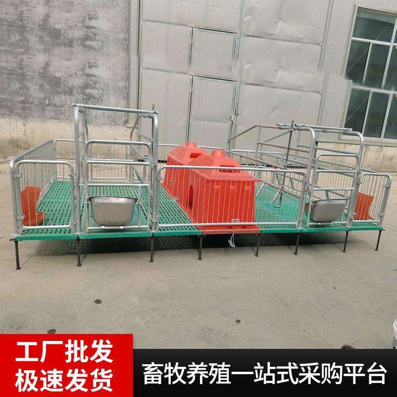 厂家现货母猪产床猪用复合产保两用仔猪分娩床热镀锌加厚母猪产床
